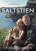 Saltstien