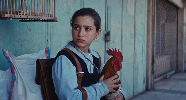 En kage til præsidenten